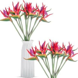Hawaiian Flowers Bird of Paradise