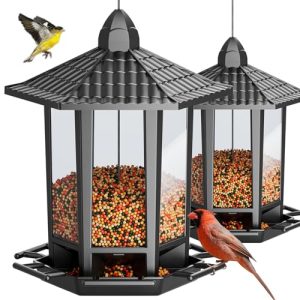 House Finch Bird Feeder