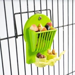 How to Attach Piece of Fruit to Bird Cage