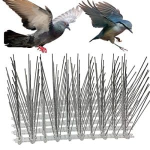 How to Feed Garden Birds Safely