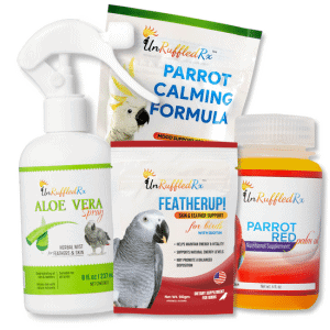 How to Make a Bird First Aid Kit