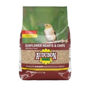 Hulled Sunflower Bird Seed