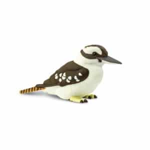 Kookaburra Bird Call