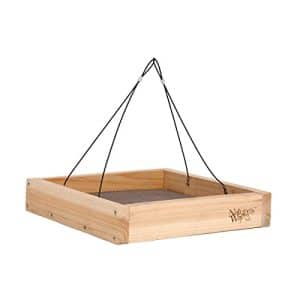 Platform Bird Feeder