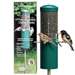 Pole Mount Bird Feeder