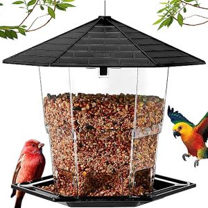 Sparrow Bird Feeder