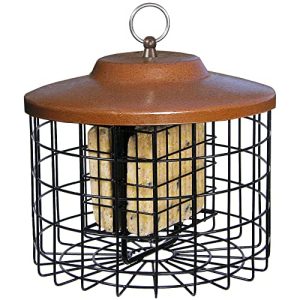Squirrel Proof Suet Bird Feeder