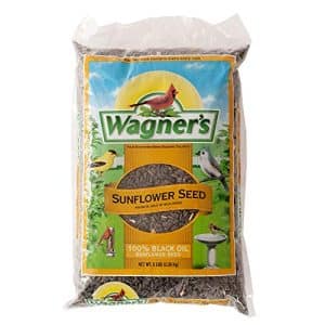 Sunflower Seeds Bird Feed
