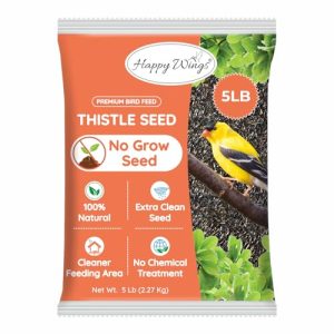 Thistle Seed Birds