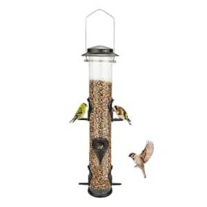 Tube Feeders to Attract Birds
