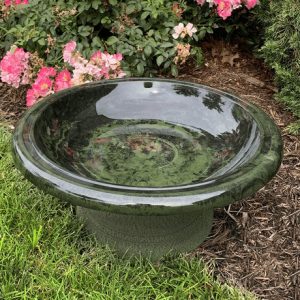 Types of Bird Baths