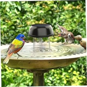 Water Wiggler Bird Bath