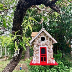 What Color to Paint Bird Houses