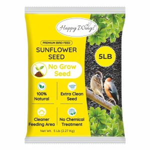 What is the Best Wild Bird Seed