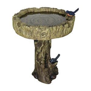 Whats a Bird Bath