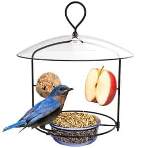 Wild Bird Fruit Feeders