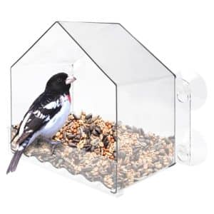 Window Bird Feeder for Cats