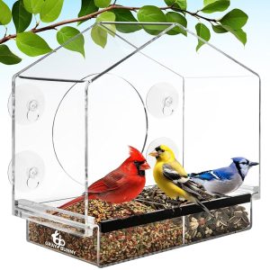 Window Oriole Feeder