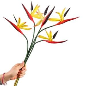 Yellow Bird Flowers