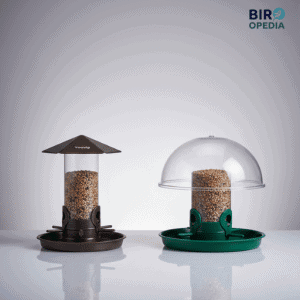 Best Bird Feeders for Rainy Weather
