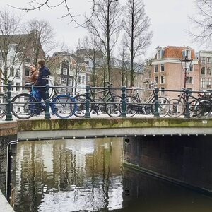 Bridge 15