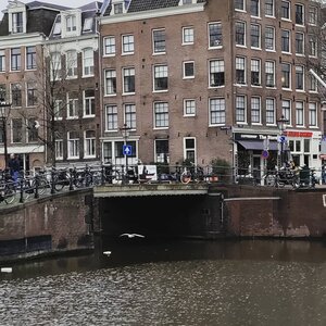 Bridge 15