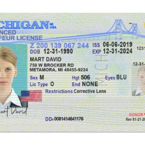 Michigan Fake Driver License