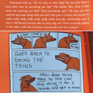 Positive dog hot sale trainers near me