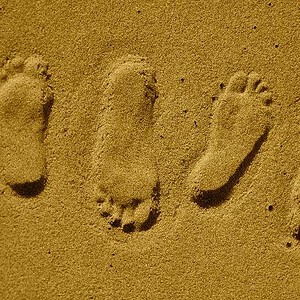 Steps in the Right Direction