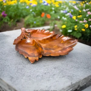 Leaf-Shaped Dry Fruit Tray - Image 1