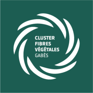 Cluster-fibre-vegetales-gabes