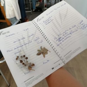 Formation à la technique de Teinture Naturelle (11)