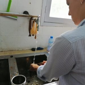 Formation à la technique de Teinture Naturelle (16)