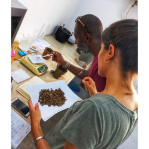 Formation à la technique de Teinture Naturelle (21)