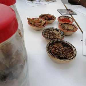 Formation à la technique de Teinture Naturelle (23)