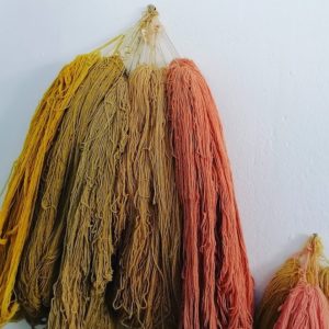 Formation à la technique de Teinture Naturelle (26)