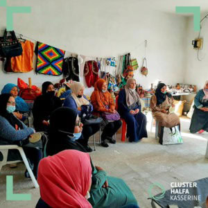 Formation en teinture naturelle de la Halfa (4)