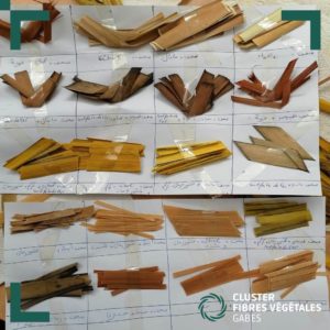 Formation en teinture naturelle de la fibre de palmier (12)