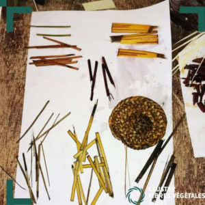 Formation en teinture naturelle de la fibre de palmier (7)