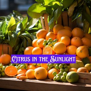 Citrus In The Sunlight Hero 300x300