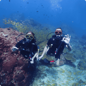 Underwater Photo & Video Package (by Pro Diver)