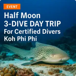 alt="Leopard shark resting on coral reef in Koh Phi Phi with 'Event' banner – Half Moon 3-Dive Day Trip promotional image"