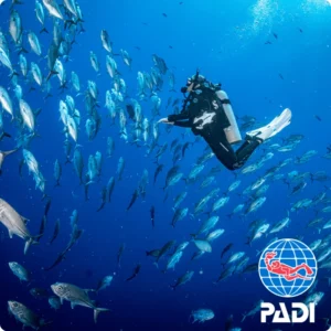 PADI Advanced Open Water Diver Course(AOW) in Koh Phi Phi
