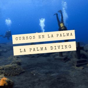 Open Water Diver en La Palma con Punkfish diving
