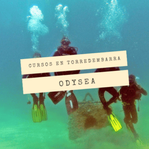 Open Water Diver en Torredembarra con Odysea