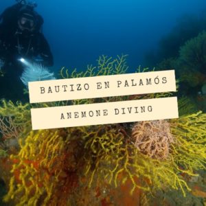 Bautizo de buceo en Palamós con Anemone Diving Center