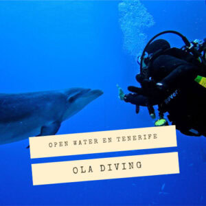 Open Water en Adeje con Ola Diving