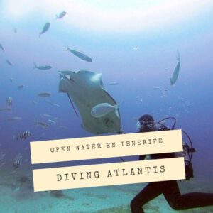 Open Water en Los Cristianos con Diving Atlantis
