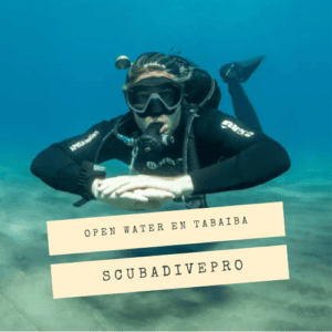 Open Water en Tabaiba con Scubadivepro Tenerife