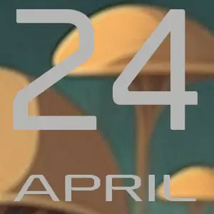 2024 April House EDM Music releases a selection